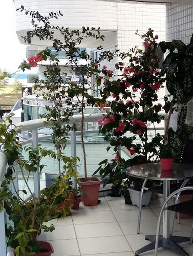 Imagem 14 de 15 de Apartamento Com 3 Dormitórios À Venda, 125 M² Por R$ 500.000,00 - Braga - Cabo Frio/rj - Ap0264