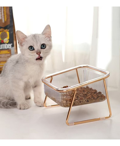 Pet Cat Dog Transparent Plastic Bowl