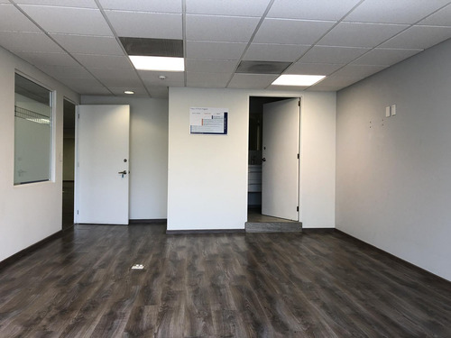 Oficina En Renta -reforma Piso 3 - 385 M2