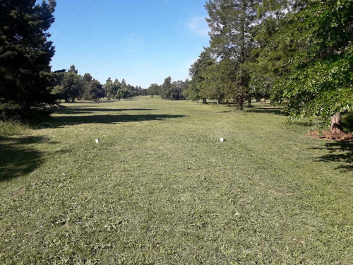 Imagen 9 de 12 de Club De Golf Privado 9 Hoyos En Berazategui - 20 Has Oportunidad Única