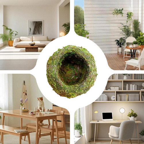 Plantador Moss Ball Green Moss Ball Pot Soporte De Flores Cr