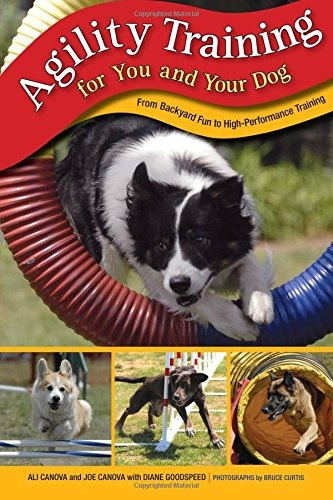 Agility Training For You And Your Dog From Backyard Fun To H