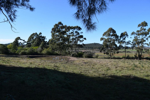Venta Chacra Ruta 60 Maldonado Pan De Azucar Cerro Betete