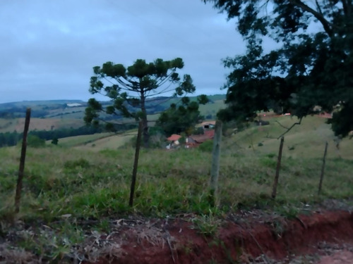 Imagem 16 de 16 de Sítio Com 3.8 Alqueires Com Casa Simples Terra Vermelha 5 Km Do Asfalto Água Corrente No Fundo Do Sítio, Oportunidade... Custo Benefício... Valor : 295 Mil Município De Itapetini - Ch00089 - 695779
