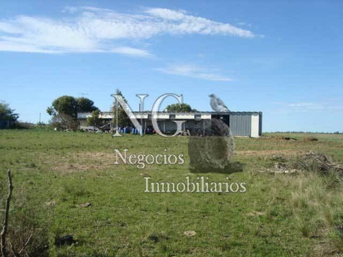93 Ha. De Excelente Campo Con Casa Y Maquinaria En Ruta 20