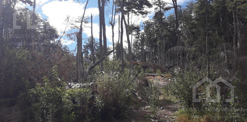 Imagen 6 de 7 de Lote En Barrio Bandurrias