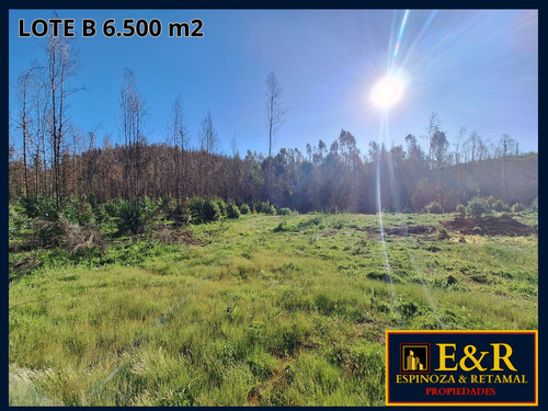 6000 M2 En Colico, Con Ester , Santa Juana (67673)