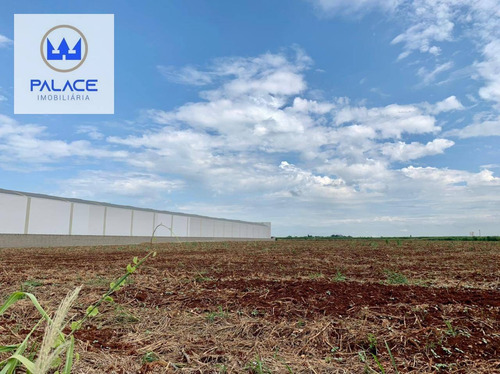 Imagem 1 de 4 de Terreno, 40000 M² - Venda Por R$ 6.000.000,00 Ou Aluguel Por R$ 20.000,00/mês - Campestre - Piracicaba/sp - Te0352