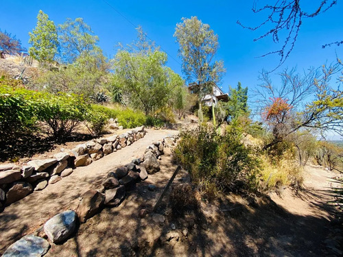 Colegio Pedregales, San Anselmo, Aleman, San Jose, Verbo Div