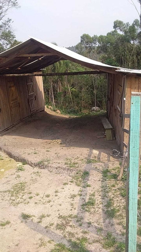Imagem 4 de 8 de Chácara Localizada Em Ponta Grossa Divisa Com Campo Largo