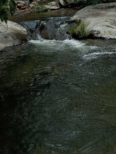 Imagem 1 de 14 de Excelente Terra Na Chapada Dos Veadeiros! Em Cavalcante Go