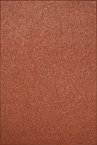 Alfombra 2x3 Pies - Solid Color Area Rug Rust, 2' X 3'