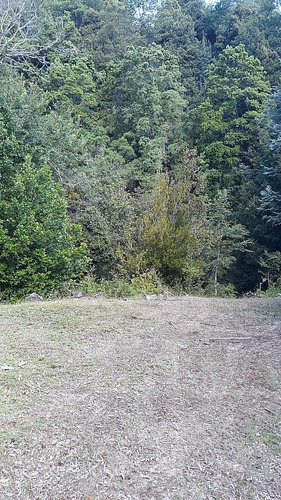 Parcela 1.8 Ha En Sector El Huachi A 30 Minutos De Sta Barb