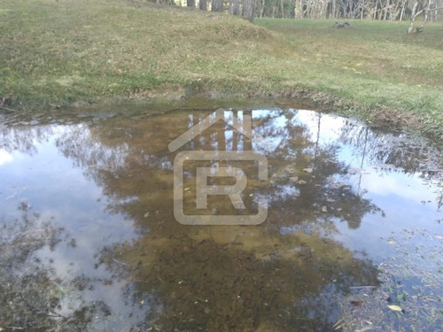 Imagem 9 de 30 de Itio Ideal Para O Seu Lazer Tendo 3 Lagos Piscosos Com Peixe, 02 Nascentes Próprias, Pomar, Horta. - 77 - 70066608