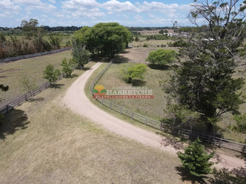 Campo En Venta, 22 Has, Harás Boutique, Hermoso Casco
