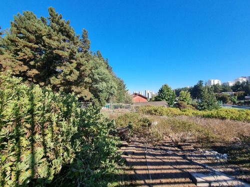 Excelente Terreno En Los Pinos