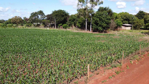 Imagem 4 de 5 de Área À Venda, 8000 M² Por R$ 960.000,00 - Imóvel Alwin - Foz Do Iguaçu/pr - Ar0014