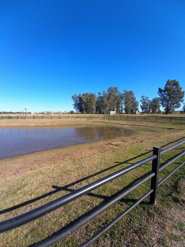 Venta De Lote En La Reserva, Natural Y Diferente