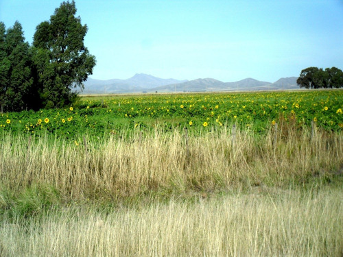 Imagen 2 de 10 de Tornquist, Sierra De La Ventana Dueño Vende