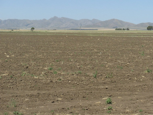 Imagen 6 de 10 de Tornquist, Sierra De La Ventana Dueño Vende