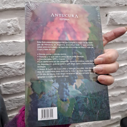 Enoturismo En Mendoza Flavio Faria Editorial Antucura