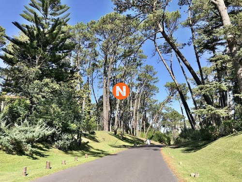 Imagen 3 de 12 de Venta De Terreno En Cantegril Punta Del Este - Punta Del Este Cantegril
