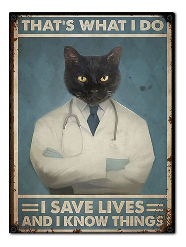 #972 - Cuadro Vintage - Gato Doctor Poster Medico No Chapa