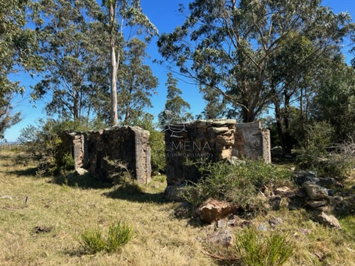 Imagen 11 de 30 de Campo 10 Has Y Media Con Casa Y Manantial Con Agua Permante. Consulte!!!!!!!!! - Zona Rural Zona Rural