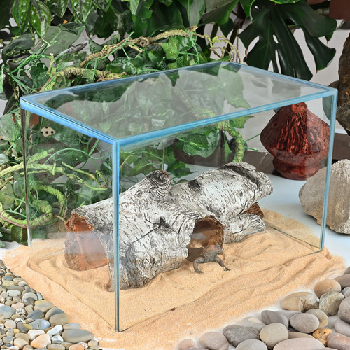 Cueva Simulación Árbol Escondite Refugio Reptiles Arbóreos A