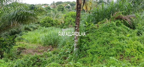Imagem 3 de 8 de Lote Em Condomínio Localizado(a) No Bairro Praia Do Sul Em Ilhéus / Ilhéus - 84216680