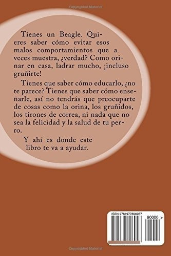 Como Educar A Un Beagle