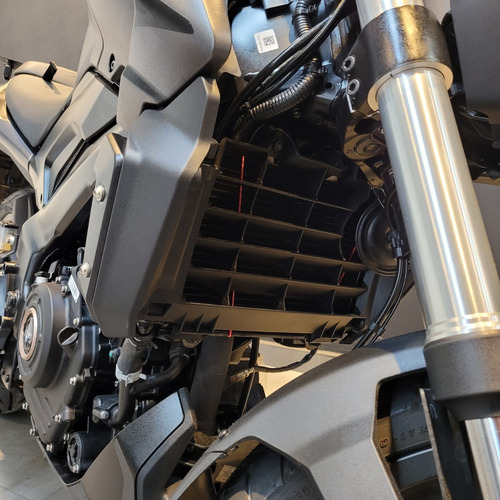 Imagen 12 de 19 de Bajaj Dominar D-250 - Entrega Inmediata - Jp Motos