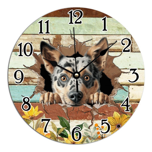 Reloj Arte Para Perro Ganado Australiano Que Asoma Grieta