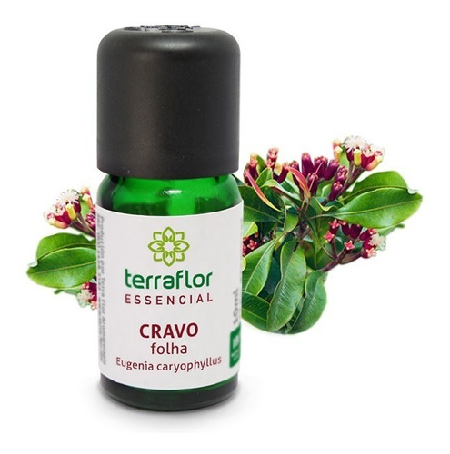 Óleo Essencial Cravo Folha 10ml - Terra Flor