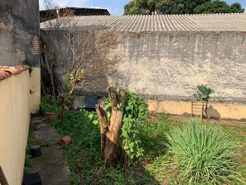 Imagem 11 de 14 de Linda Casa À Venda Na Vila Pereira Barreto