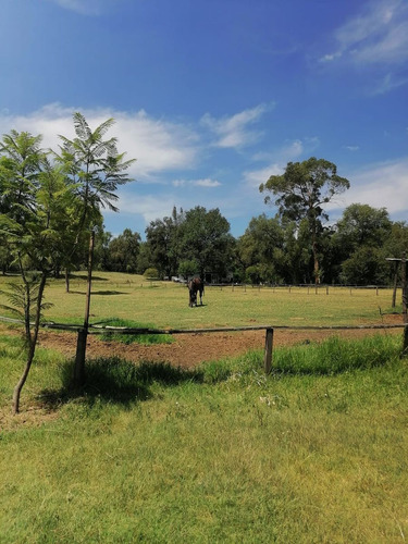 Rancho Las Palmas En Venta Tepeji Del Rio