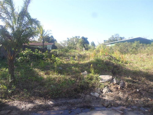 Imagem 3 de 3 de Terreno Em Itanhaém - Ita3125