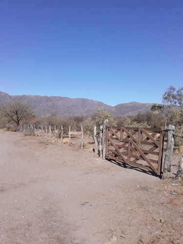 Imagen 1 de 17 de Chacra Rural Con Galpon