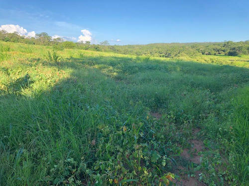 Imagem 4 de 25 de Linda Fazenda Na Bahia!!!!!