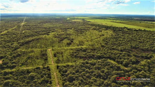 Imagen 12 de 14 de Lotes De 1500m2 En Merlo - Cerro De Oro