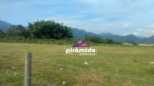 Imagem 8 de 12 de Terreno À Venda, 10000 M² Por R$ 10.000.000,00 - Travessão - Caraguatatuba/sp - Te0906
