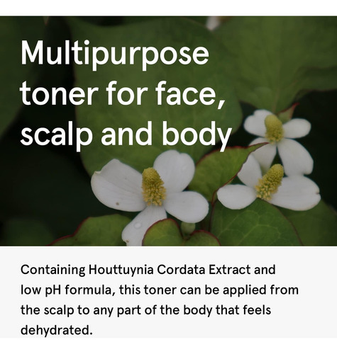 One Thing Houttuynia Cordata Extract 10 Fl Oz Tónico Facial