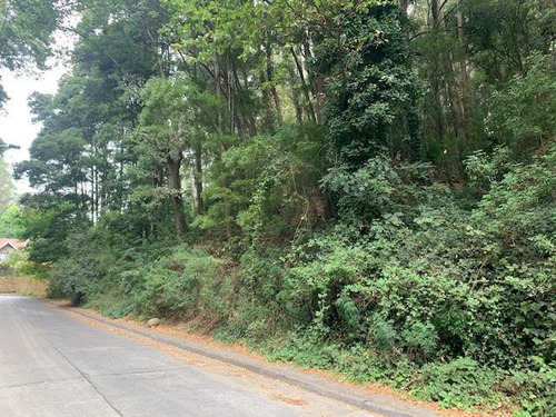 Terreno De Aprox 3.095 M2 En Cerro La Virgen, Concepción