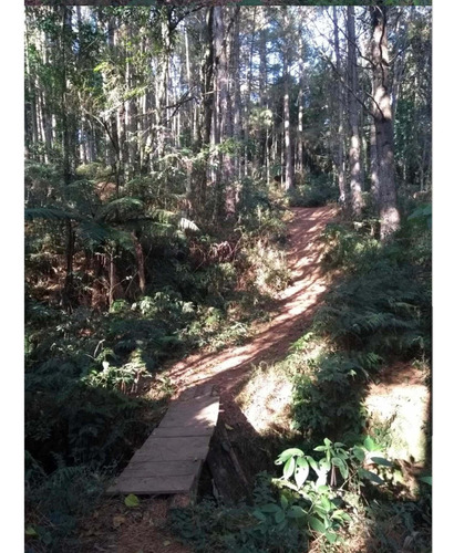 Imagem 2 de 5 de Terreno De 2016 M 2 De 36 De Frente Por 56 De Fundos,