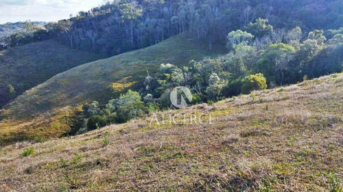 Imagem 4 de 9 de Sítio À Venda, 35000 M² Por R$ 180.000 - Centro - Alfredo Wagner/sc - Si0014