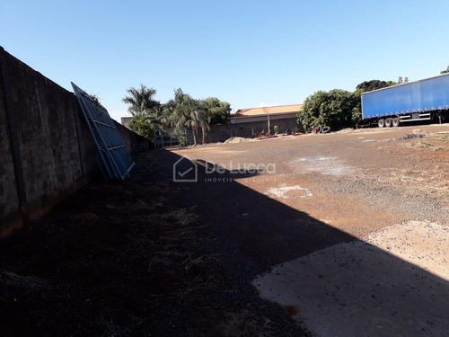 Imagem 7 de 7 de Chácara À Venda Em Betel - Ch009684