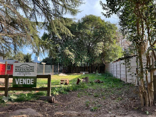Imagen 2 de 22 de Terreno En Venta En Manzanares Pilar