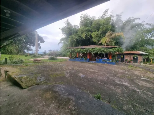 Finca De 3 Cuadras En Venta A 15 Minutos De Calarcá