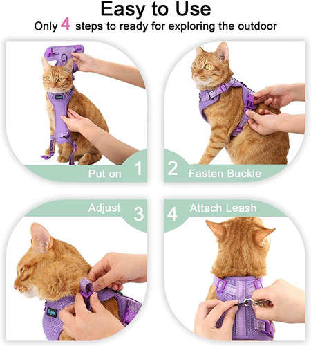 Cat Harness And Leash Set Escape Proof Small Animal Leashes