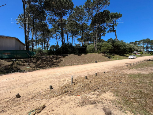 Terreno Pinar Del Faro José Ignacio